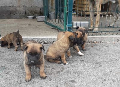 viberimage202109191055243541632087961