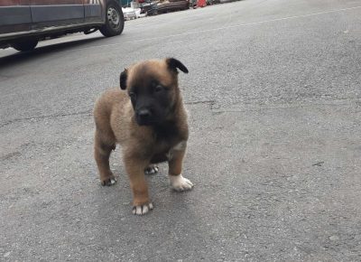 viberimage202109191055244401632087961