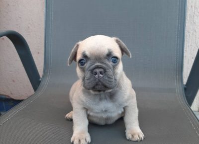 viberimage202109191951131941632155015