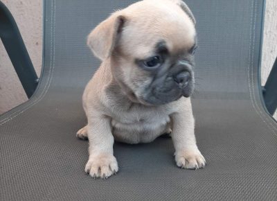 viberimage202109191951137831632820940