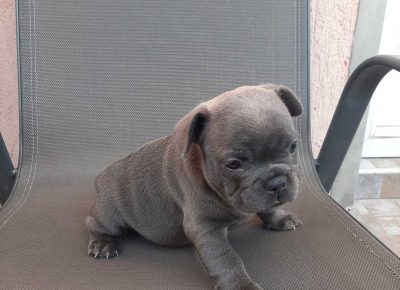 viberimage202109191951140441632155016