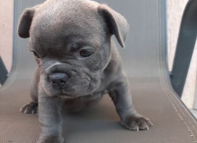 viberimage202109191951143311632820939