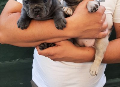 viberimage202109191951161141632820939