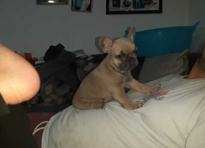 viberimage202109191951295931632155013