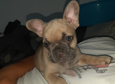 viberimage202109191951299021632155016