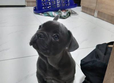 viberimage202109191955461321632155014