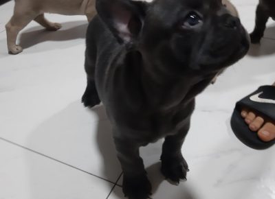 viberimage202109191955471091632155013