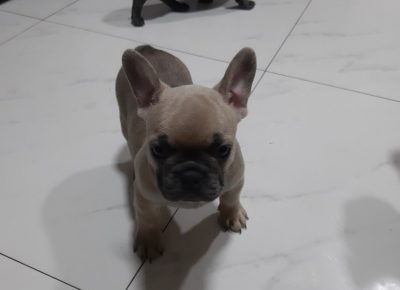 viberimage202109191955472541632820939