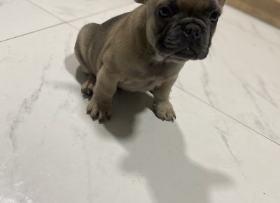 viberimage202109191959212481632820939