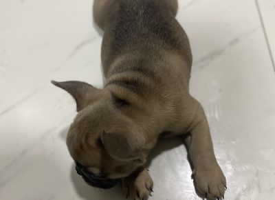 viberimage202109191959218491632155015