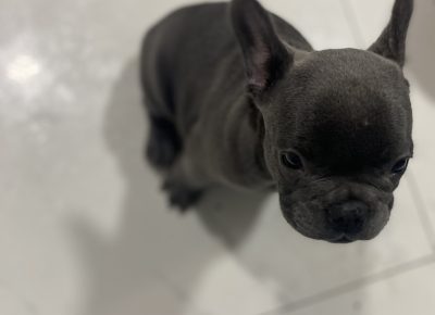 viberimage202109192002048551632820940