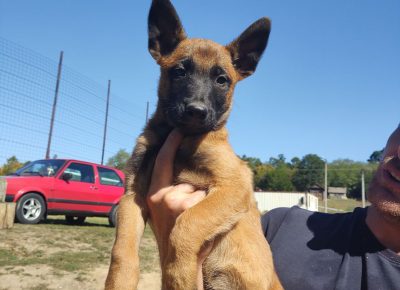 viberimage202109192015294131632140376