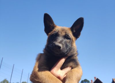 viberimage202109192015296111632140377