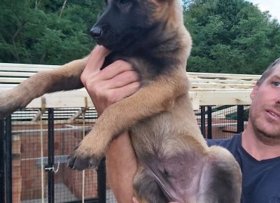 viberimage202109192015308421632140377