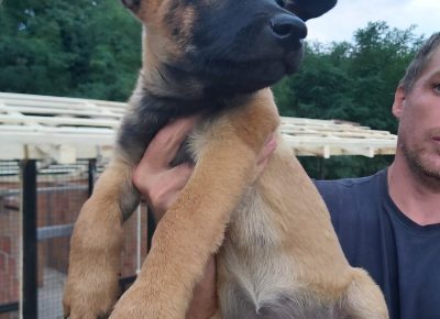 viberimage202109192015310031632140377