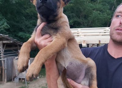 viberimage202109192015311271632140378