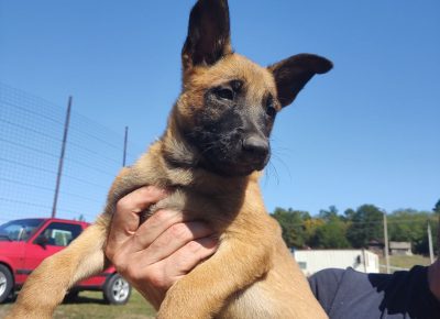 viberimage202109192016479561632140378