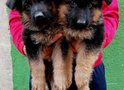 viberimage202109221653477171632334994