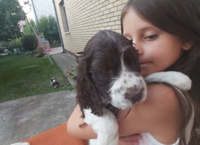 viberimage202109271039153741632735584