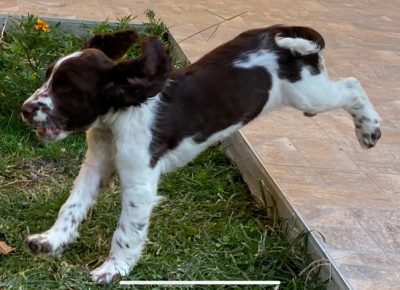 viberimage202109271039156731632735584