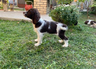 viberimage202109271039161881632735584