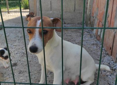 viberimage202109281943346971632904749