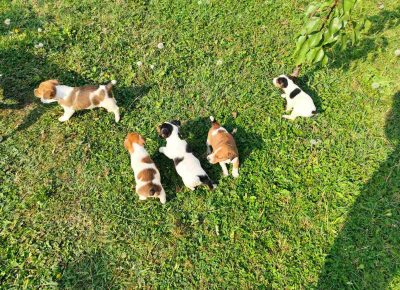 viberimage202109281943350291632904749