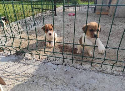 viberimage202109281943351641632904749