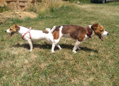 viberimage202109281943353221632904748