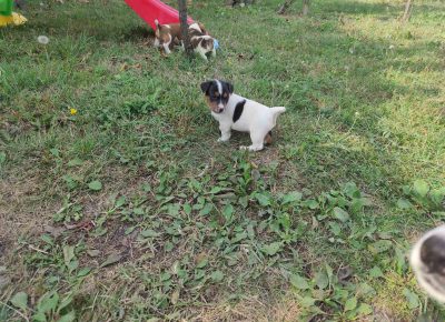 viberimage202109281943354561632904750