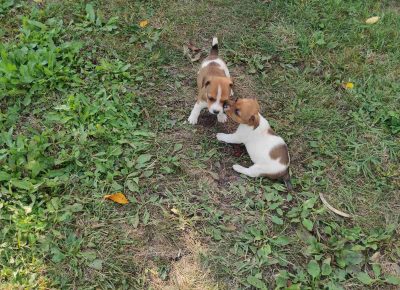 viberimage202109281943355991632904750