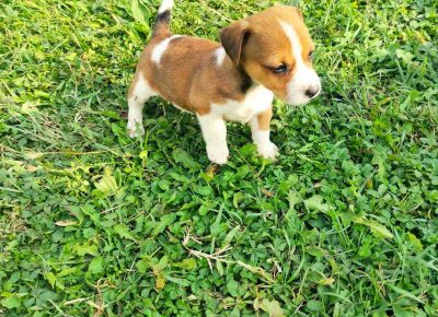 viberimage202109281943358871632904749