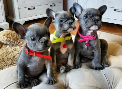 viberimage202109292233523551632997842