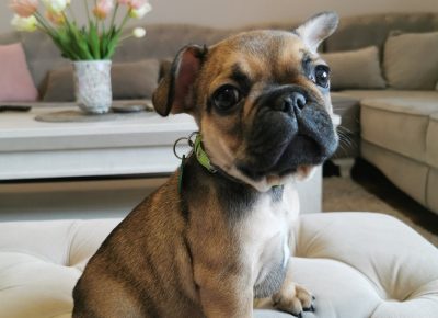 viberimage202109292234126661632997843