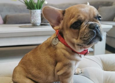 viberimage202109292234253821632997843