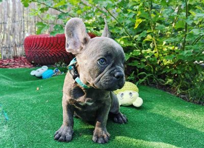 viberimage202109292234352921632997843