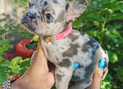 viberimage202109292234480091632997844