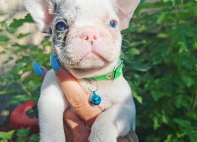 viberimage202109292234558961632997842