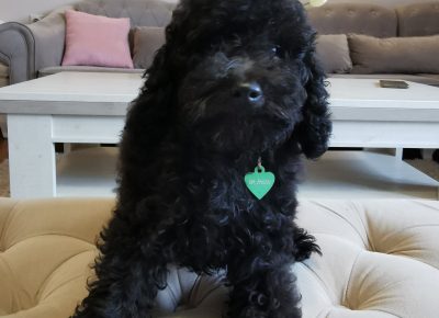 viberimage202109292236574691633019712