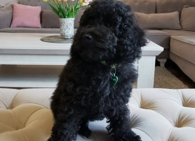 viberimage202109292236587511633019713