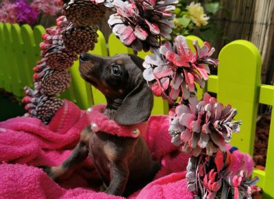 viberimage202109292241119371633023125