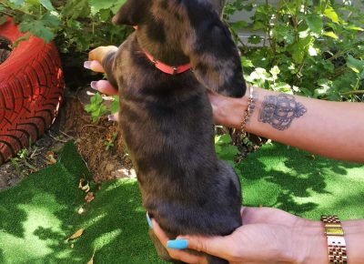 viberimage202109292241565851633023127