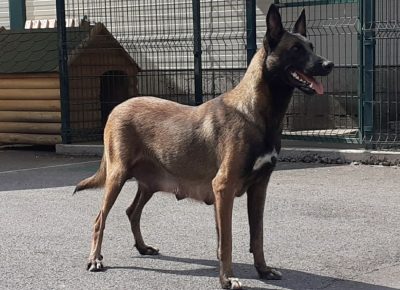 viberimage302109191055239291632087960