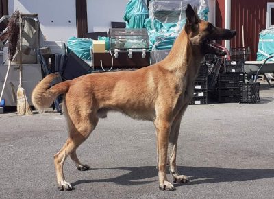 viberimage302109191055240641632087960