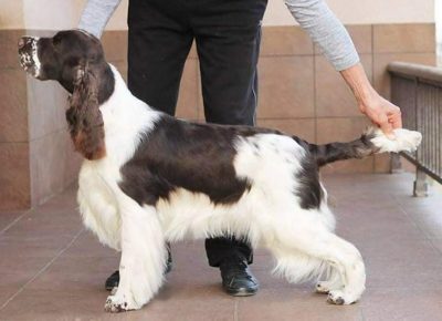 viberimage302109271039150621632735584