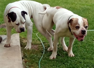 viberimage402109181534223331632065310