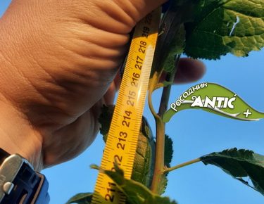 viberslika20210721203944477manja1632728758