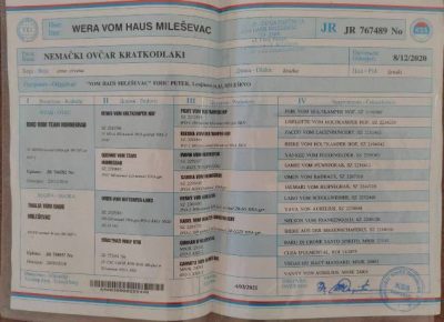 zenkaNO05a1630835271