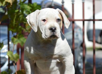 0444291243468122938555936412460400580127042n1633470236