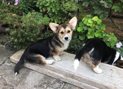 2405396039201812752353286168178011648184014n1633507686